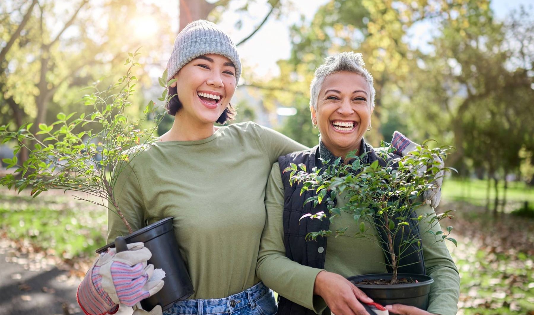 Find your perfect fit at Medley Apartments